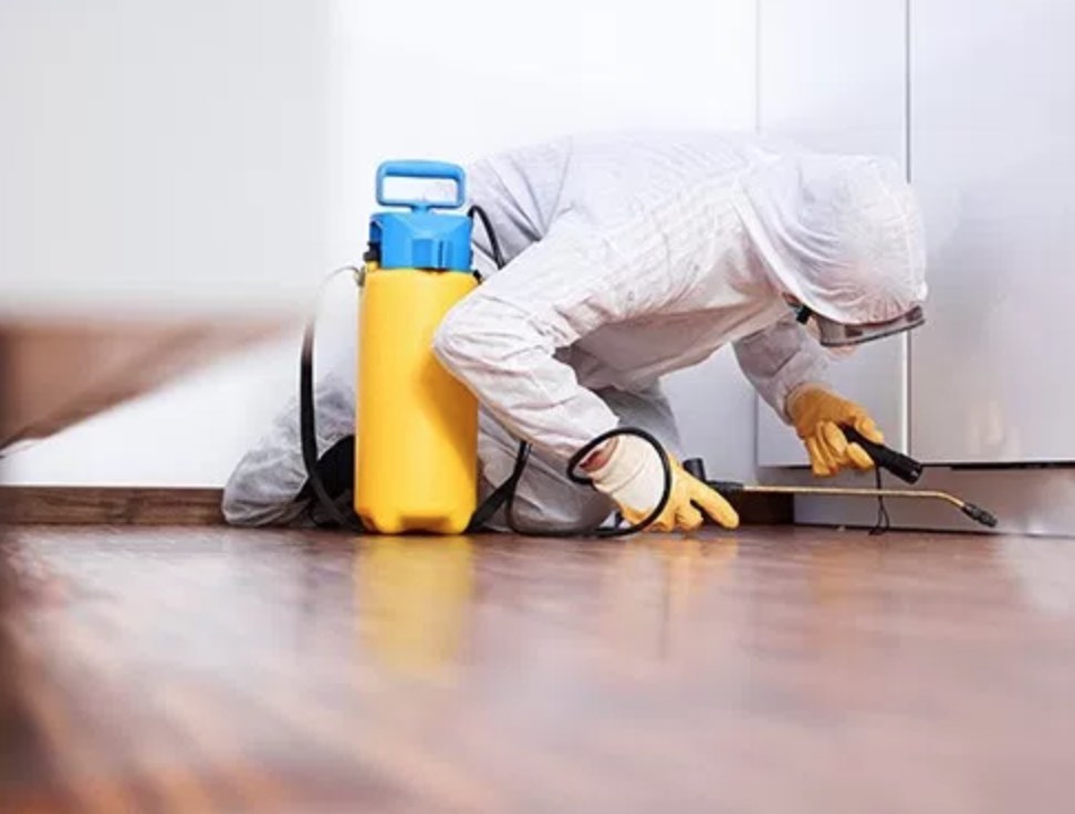 شركة مكافحة البق والفئران الامارات | 0507978175