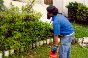 شركة مكافحة النمل الابيض عجمان | 0507978175