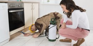 شركة مكافحة الثعابين ابو ظبي 0507978175