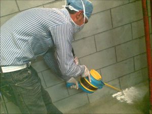 شركة مكافحة الفئران ابو ظبي | شركة الامام | 0507978175