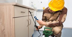 شركة مكافحة الصراصير دبى | 0507978175 | الامام