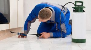 شركات مكافحة الحشرات الشارقة 0507978175