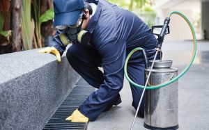 شركة تنظيف خزانات في ام القيوين