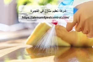 شركة تعقيم منازل في الفجيرة