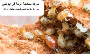 شركة مكافحة الرمة في ابوظبي