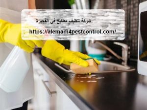 شركة تنظيف مطابخ في الفجيرة