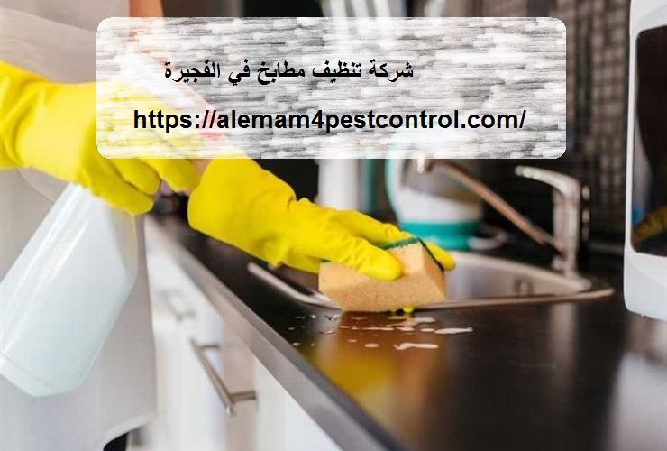 شركة تنظيف مطابخ في الفجيرة