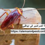 شركة مكافحة الصراصير في ابوظبي