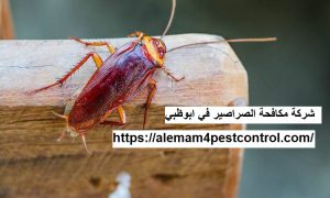 شركة مكافحة الصراصير في ابوظبي