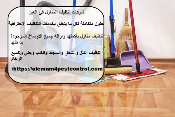 شركات تنظيف المنازل في العين