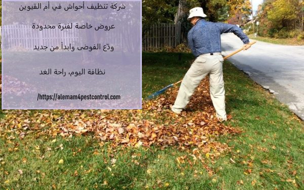 شركة تنظيف أحواش في أم القيوين