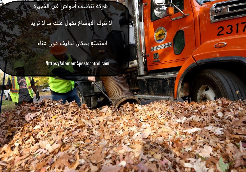 شركة تنظيف أحواش في الفجيرة