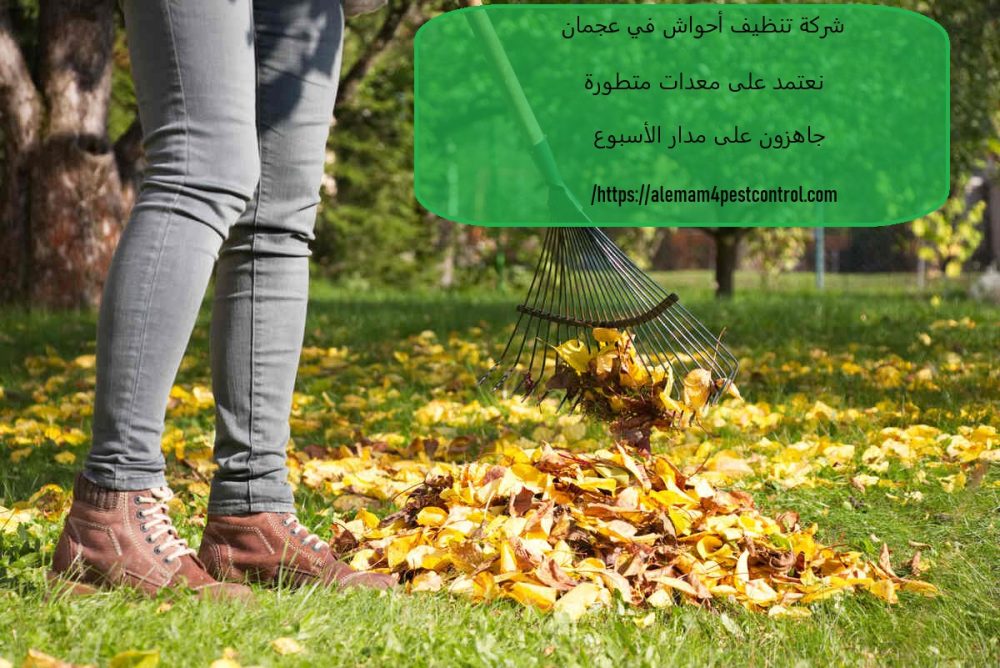 شركة تنظيف أحواش في عجمان