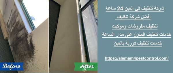 شركة تنظيف في العين 24 ساعة