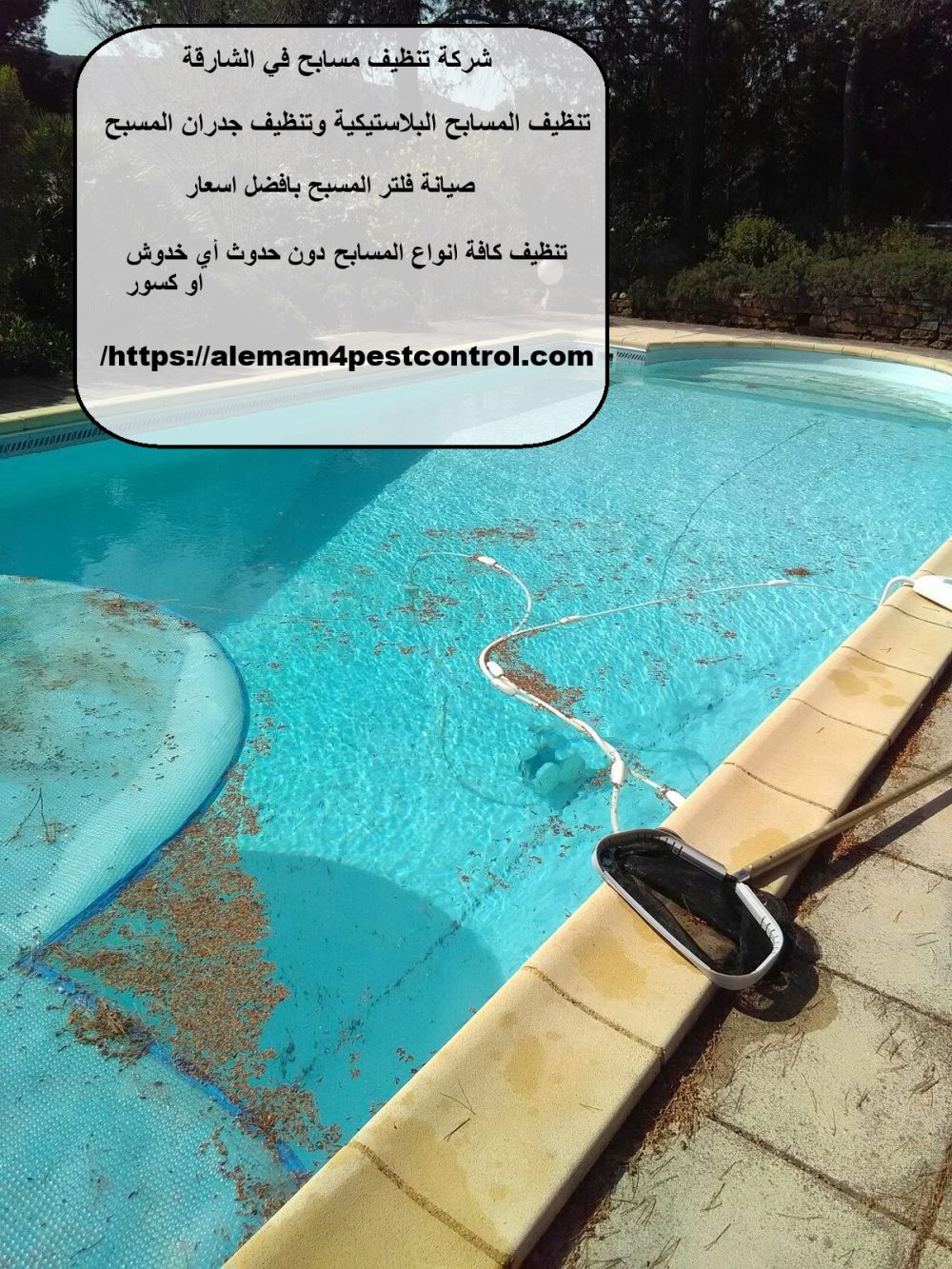 شركة تنظيف مسابح في الشارقة