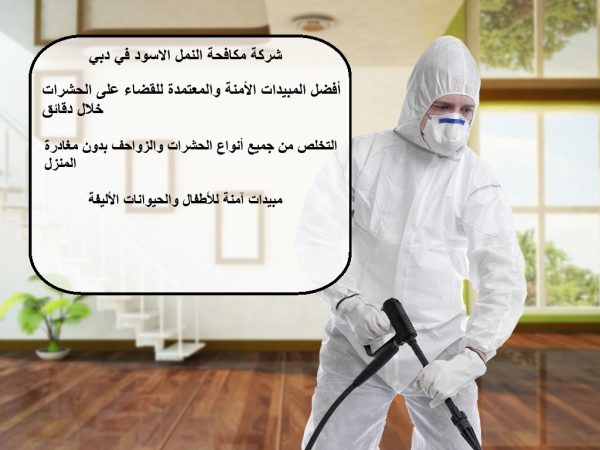 شركة مكافحة النمل الاسود في دبي