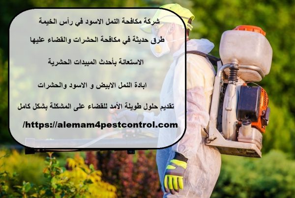 شركة مكافحة النمل الاسود في رأس الخيمة