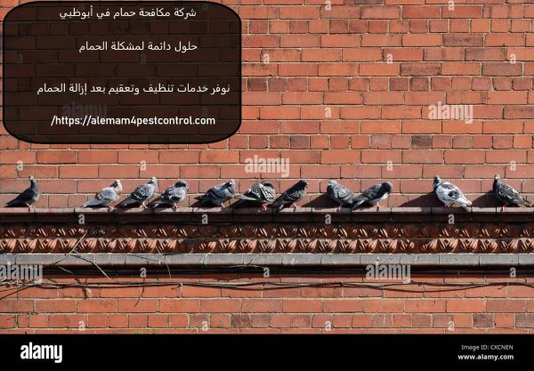 شركة مكافحة حمام في أبوظبي