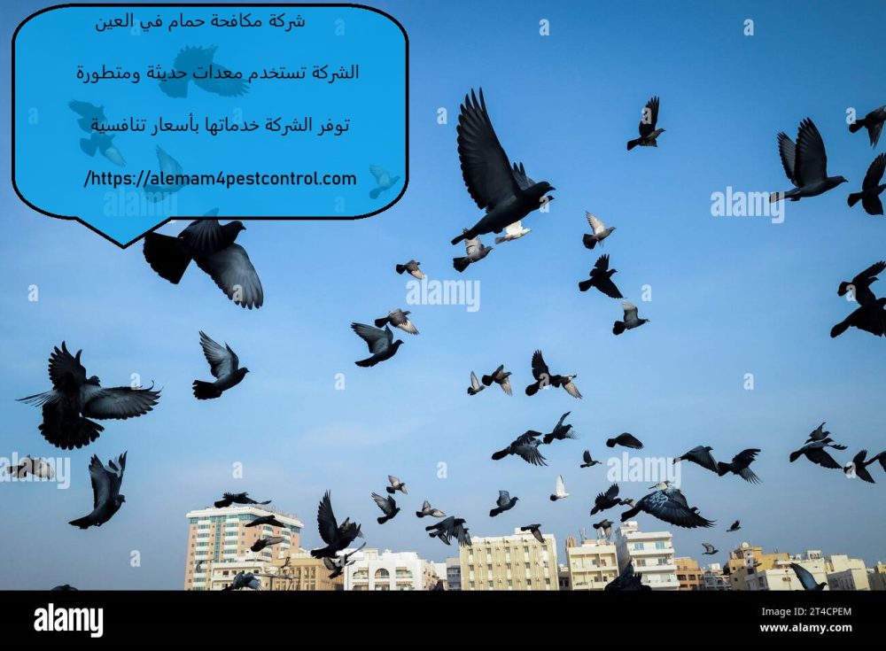 شركة مكافحة حمام في العين