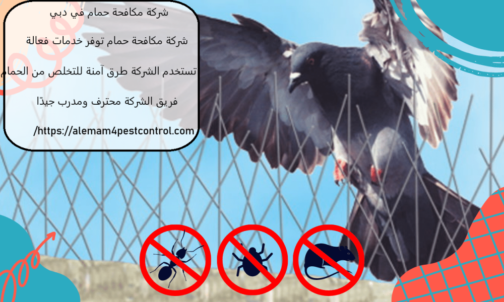 شركة مكافحة حمام في دبي