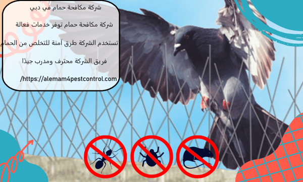 شركة مكافحة حمام في دبي