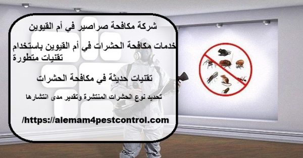 شركة مكافحة صراصير في أم القيوين