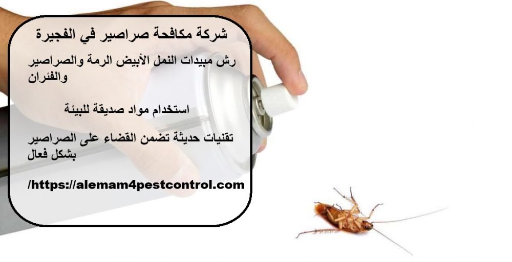 شركة مكافحة صراصير في الفجيرة