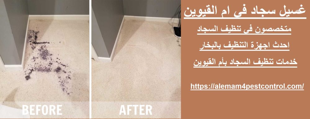 غسيل سجاد في ام القيوين