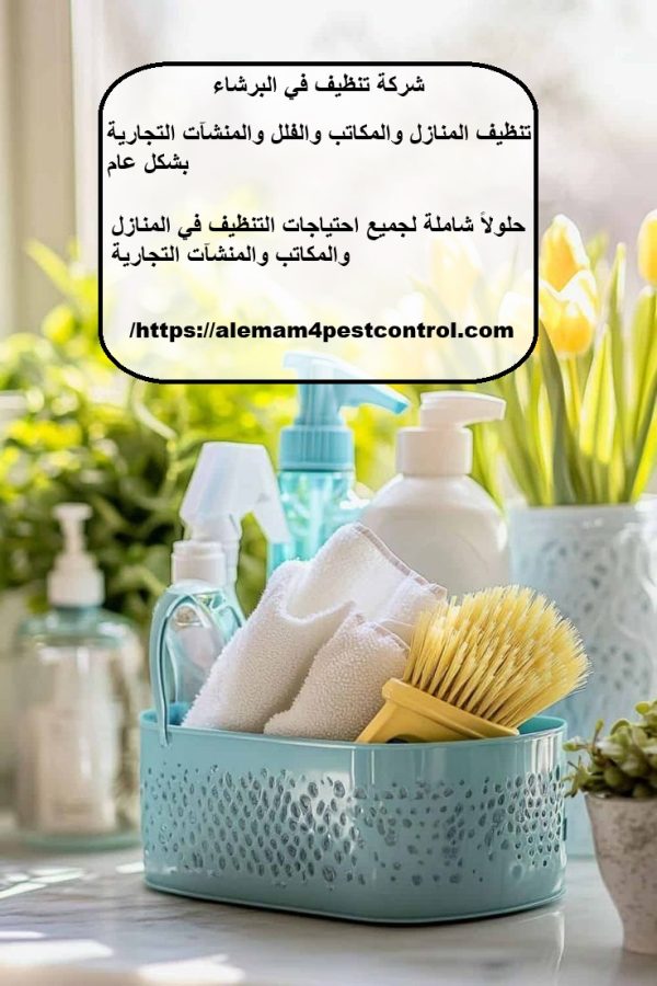 شركة تنظيف في البرشاء