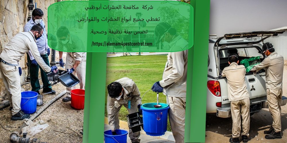 شركة مكافحة الحشرات ابوظبي