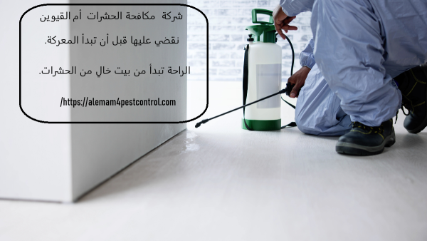 شركة مكافحة الحشرات ام القيوين