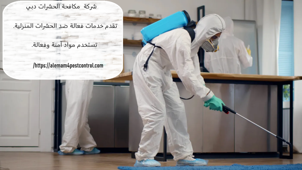 شركة مكافحة الحشرات دبي